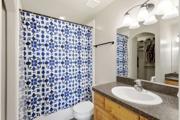 Bathroom with vanity and a spacious closet