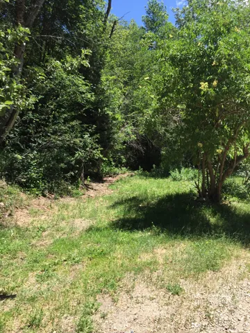 View of nature