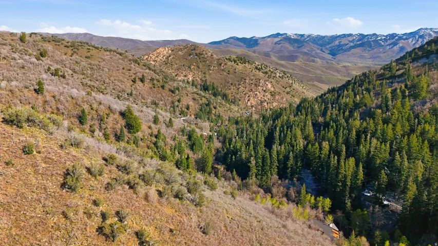 View of mountain background
