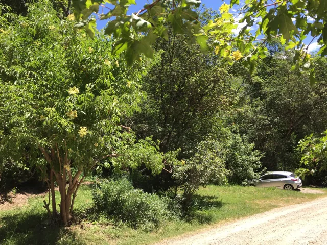 View of nature