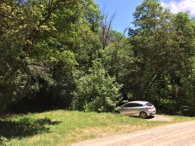 View of dirt / gravel road with a forest view