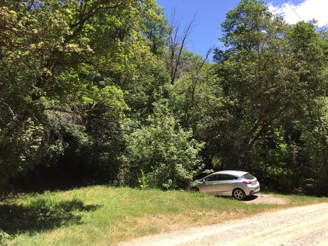 View of dirt / gravel road with a forest view