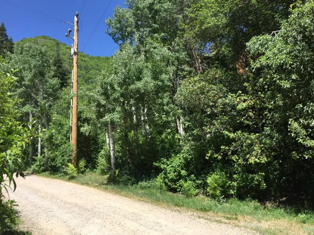 View of dirt / gravel road featuring a wooded view
