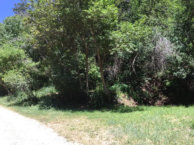 View of nature