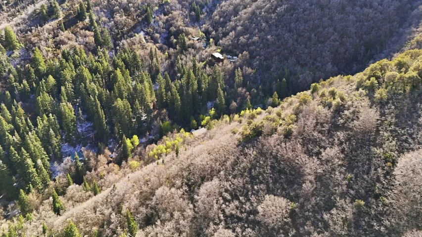 Mountain view featuring a heavily wooded area