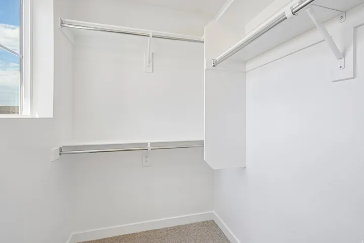 Walk-in closet featuring white walls, white trim, and light-colored carpet