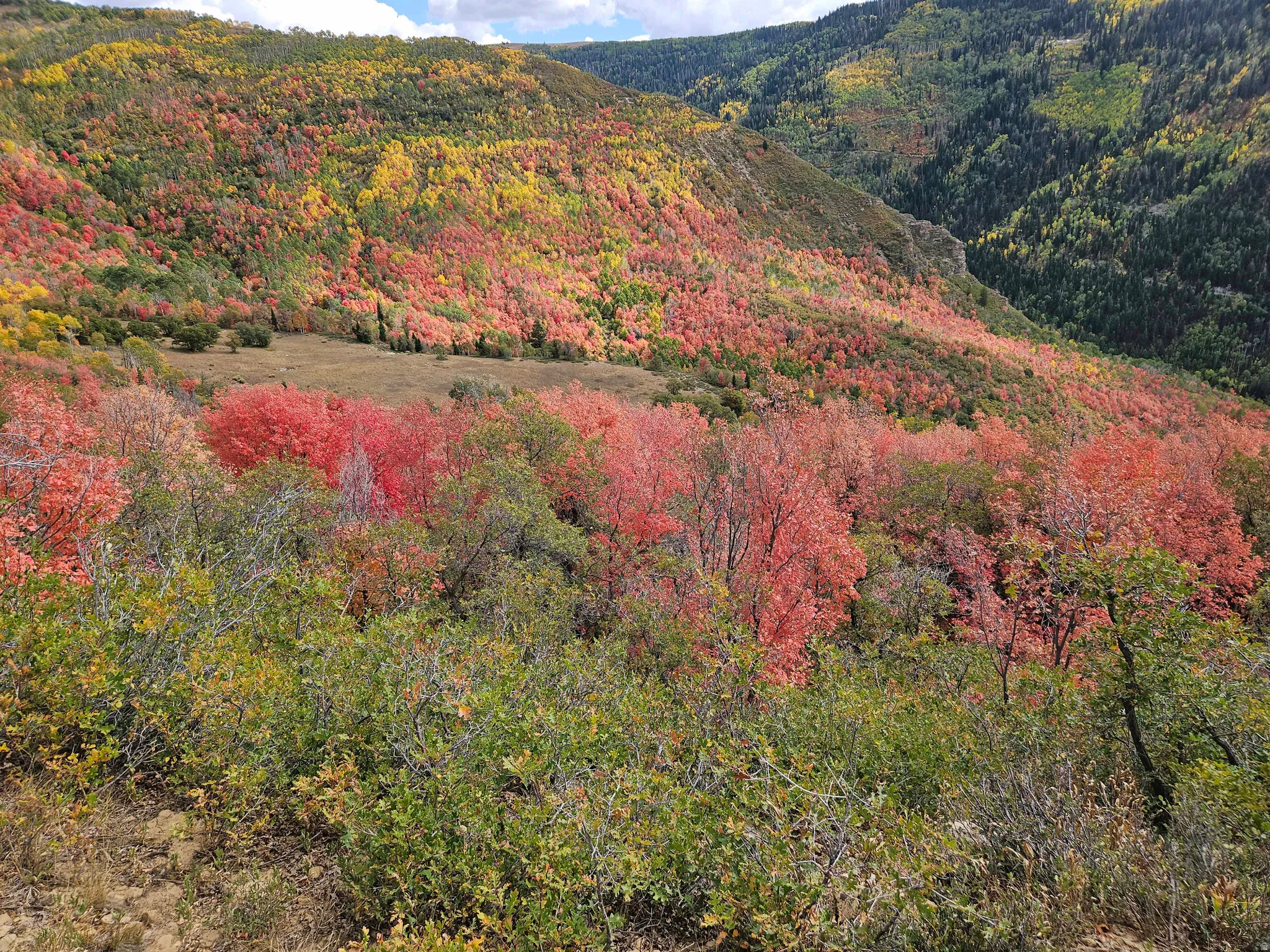 View of mountain background