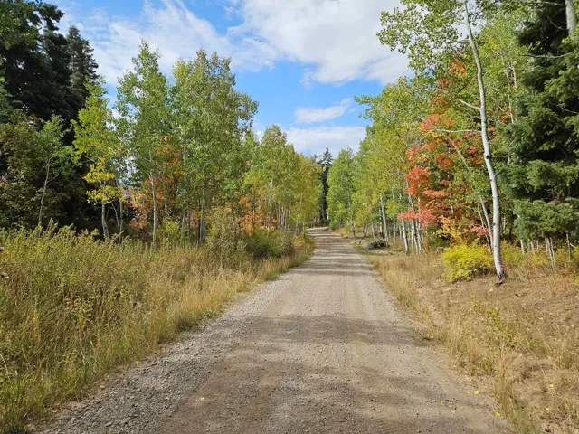 View of dirt / gravel road