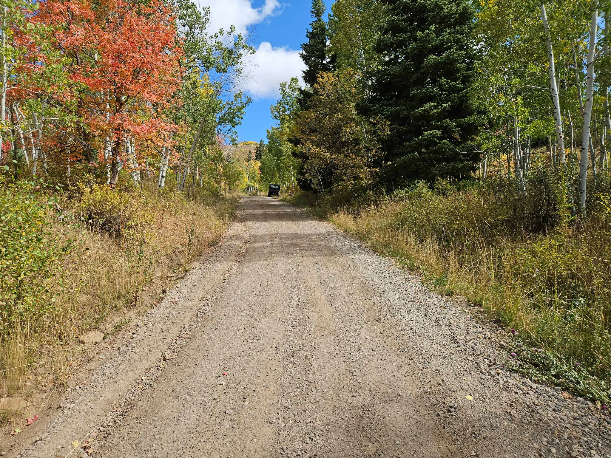 View of dirt / gravel road