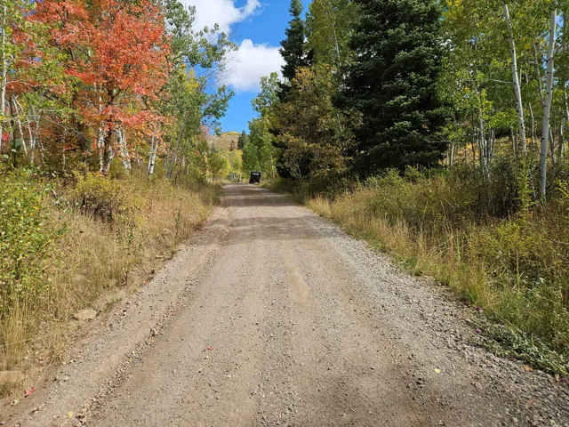 View of dirt / gravel road