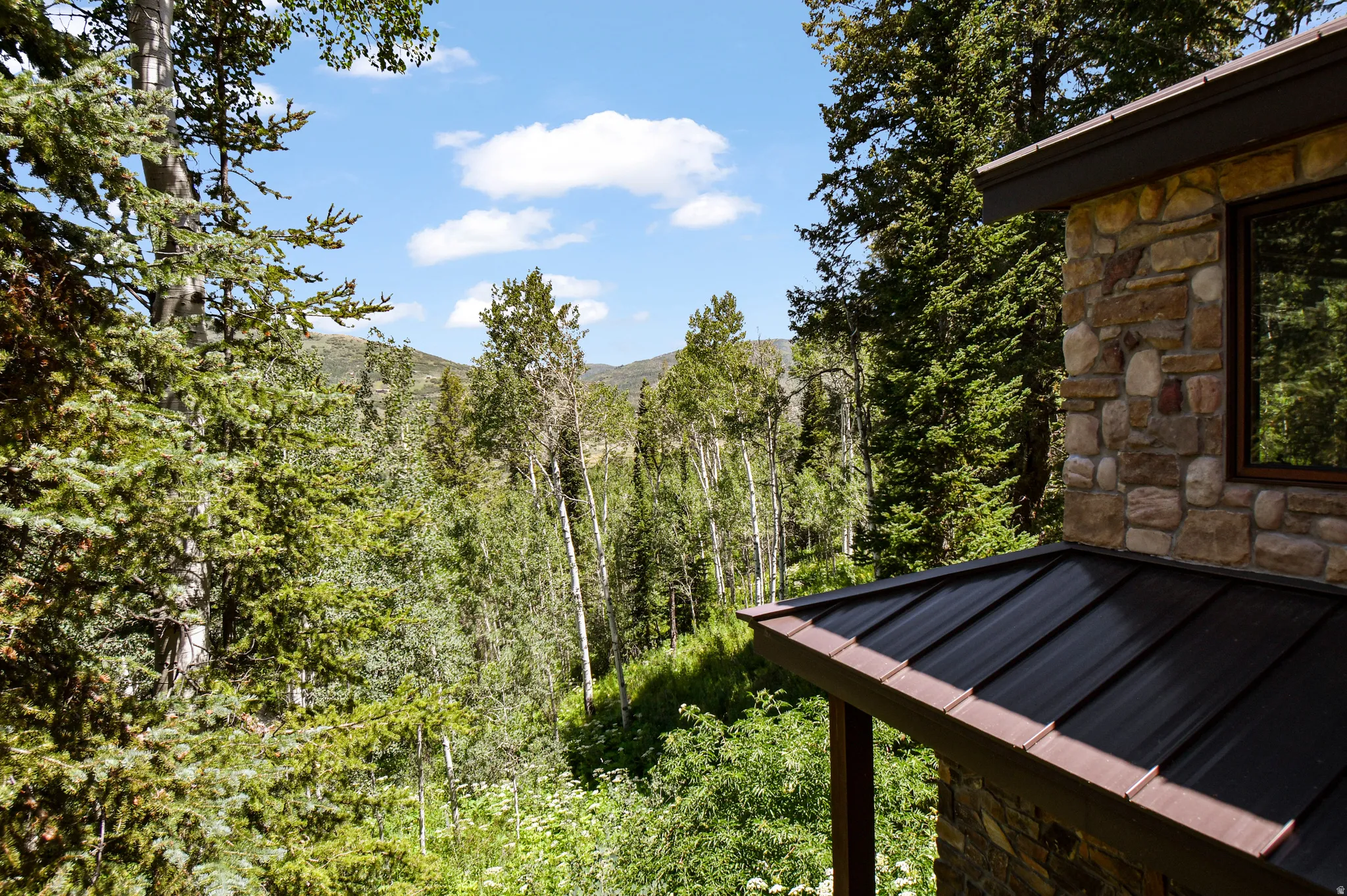 View of yard with a mountain view and a view of trees