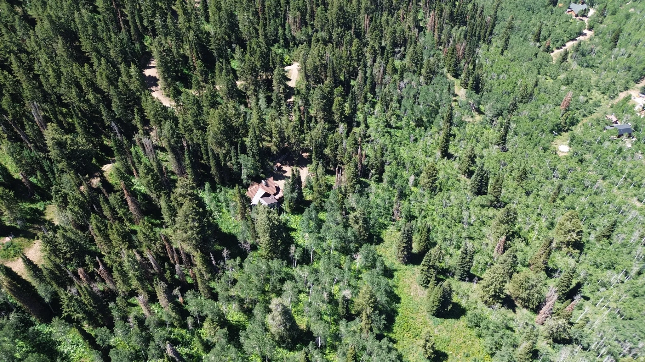Drone / aerial view of a heavily wooded area