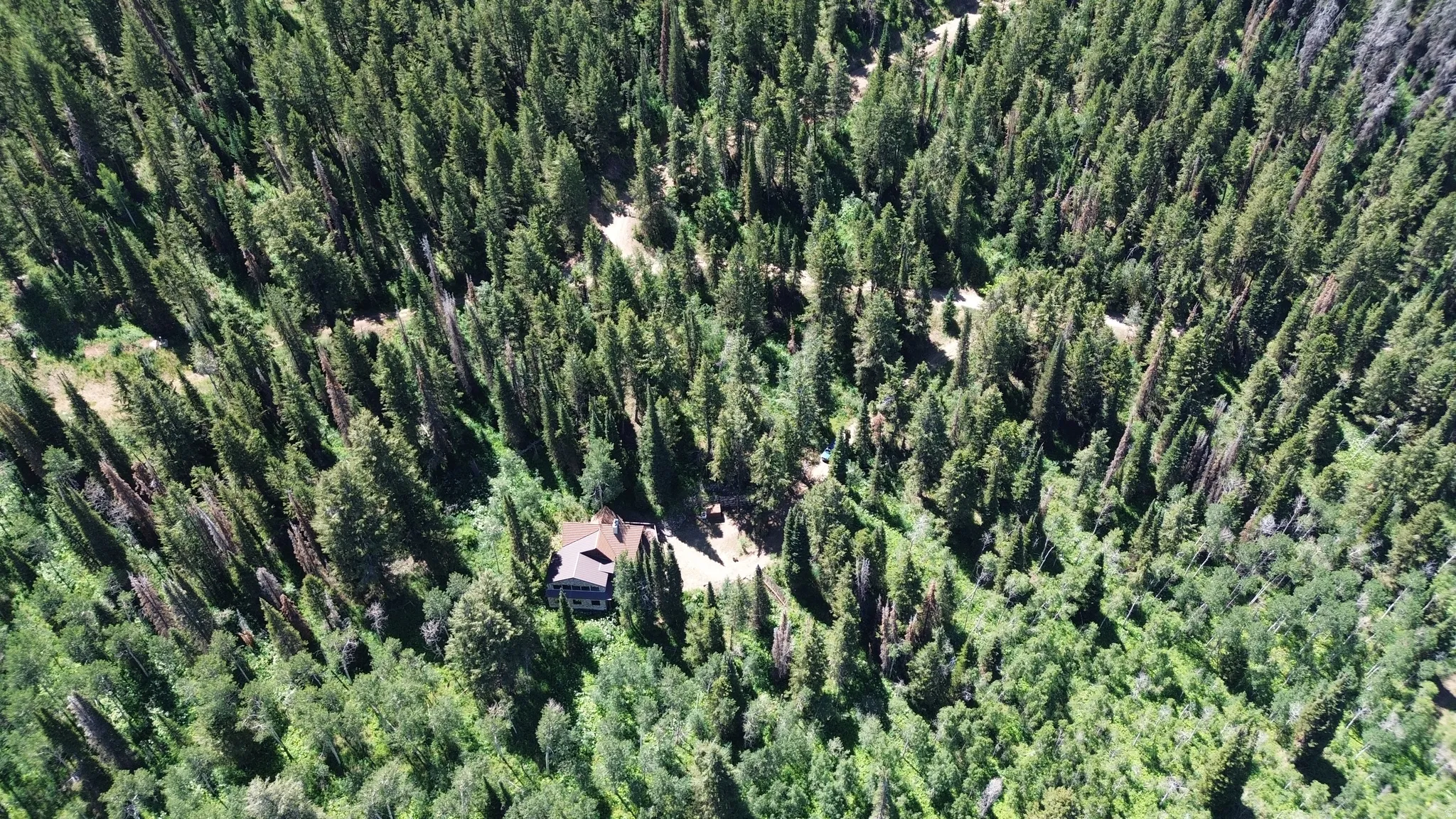 Drone / aerial view of a heavily wooded area