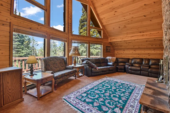 Living area featuring wooden walls, carpet floors, and a vaulted wooden ceiling