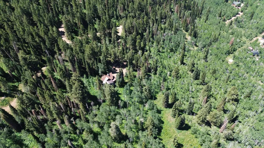 Drone / aerial view of a heavily wooded area
