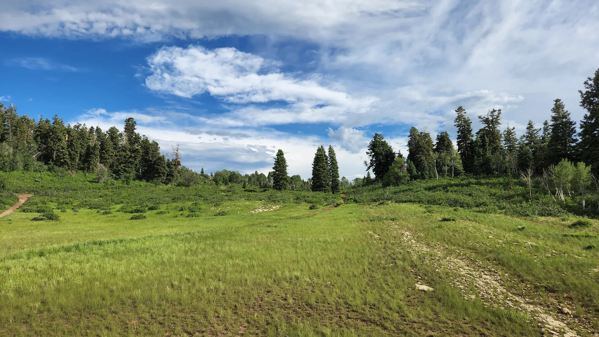 View of local wilderness featuring rural landscape