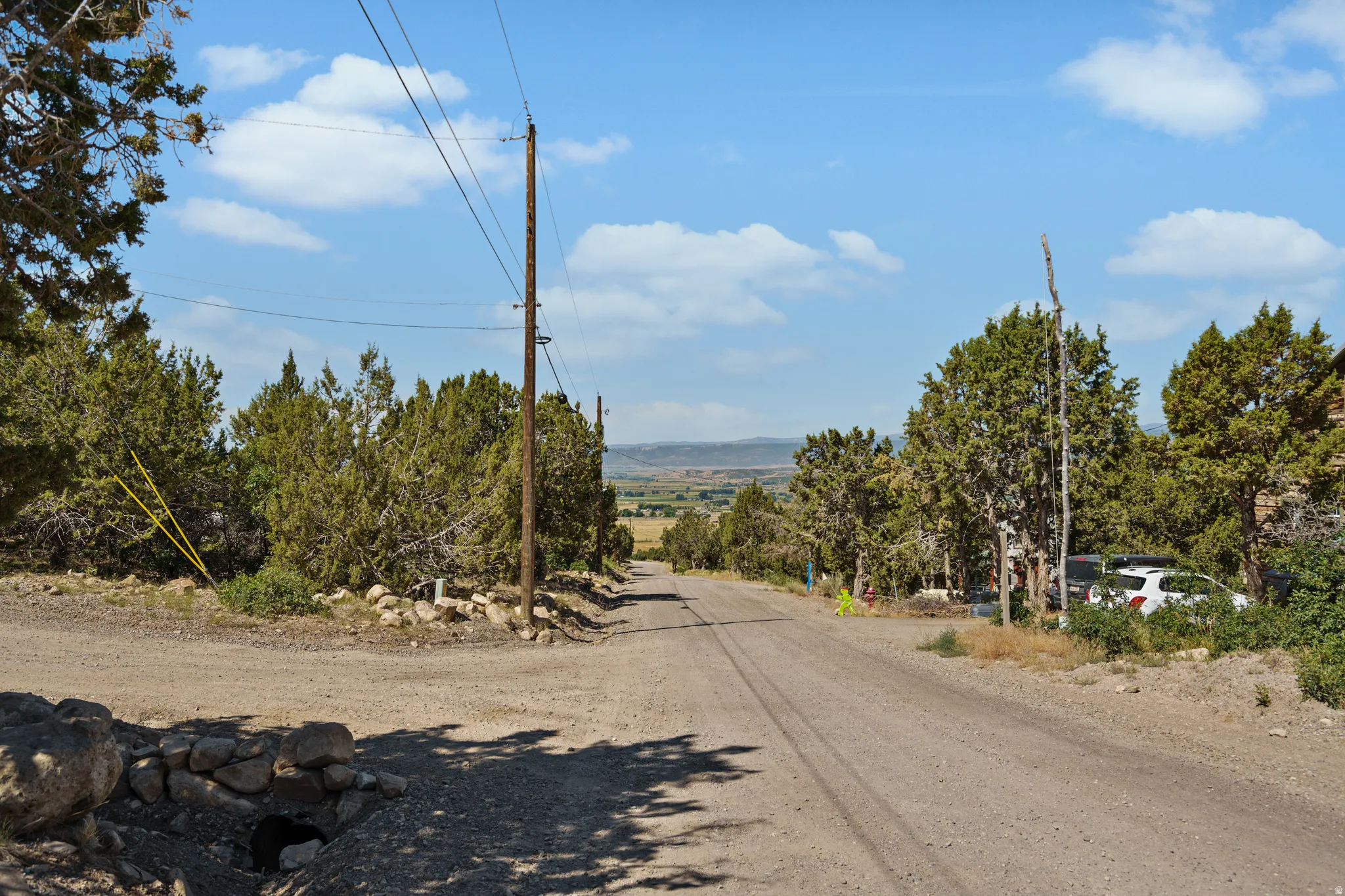 View of dirt / gravel road featuring view of scattered trees