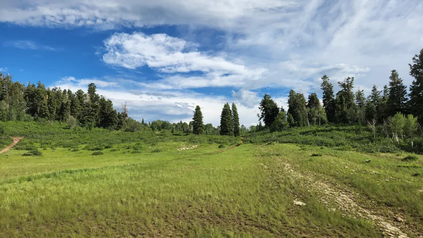 View of local wilderness featuring rural landscape