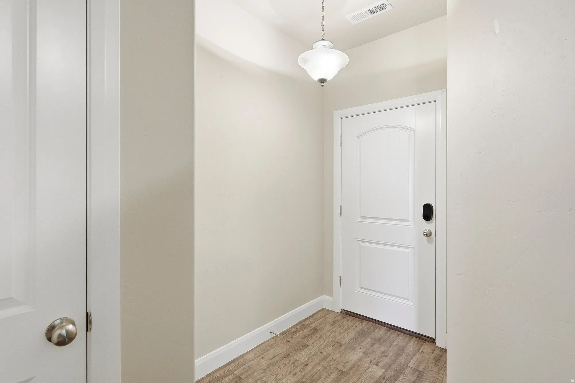 Entryway featuring wood-finish flooring, a white paneled door with an arched top panel, and a contemporary ceiling light fixture