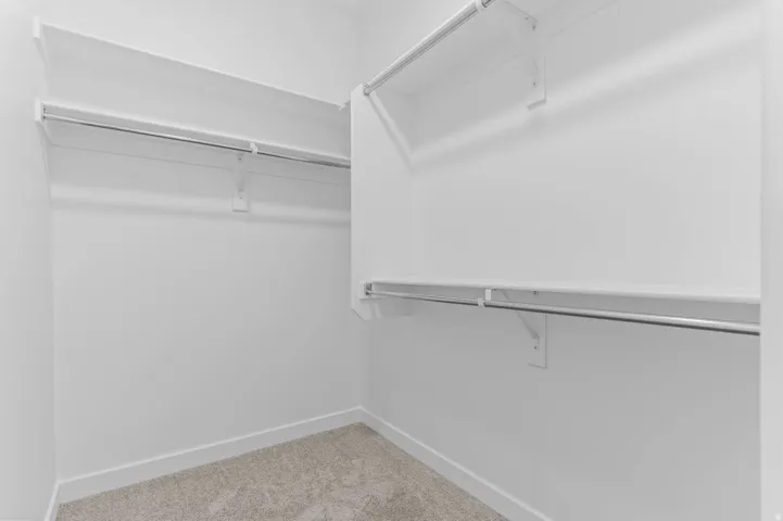 Spacious walk-in closet featuring light gray carpet, white walls, and multiple built-in shelving units with hanging rods
