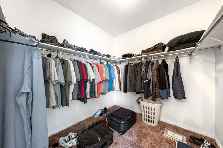 Walk in closet with carpet flooring