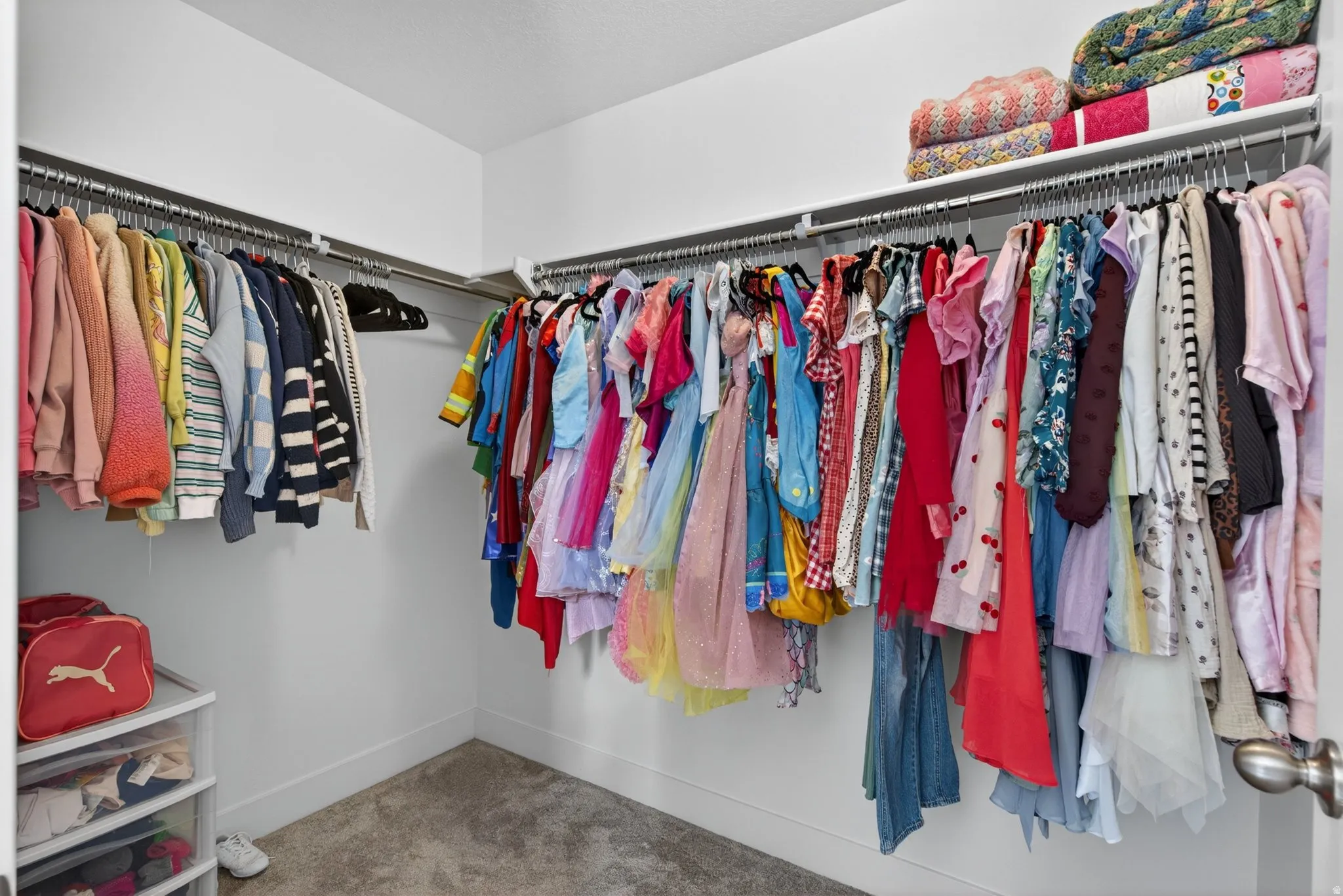 Walk in closet with carpet floors