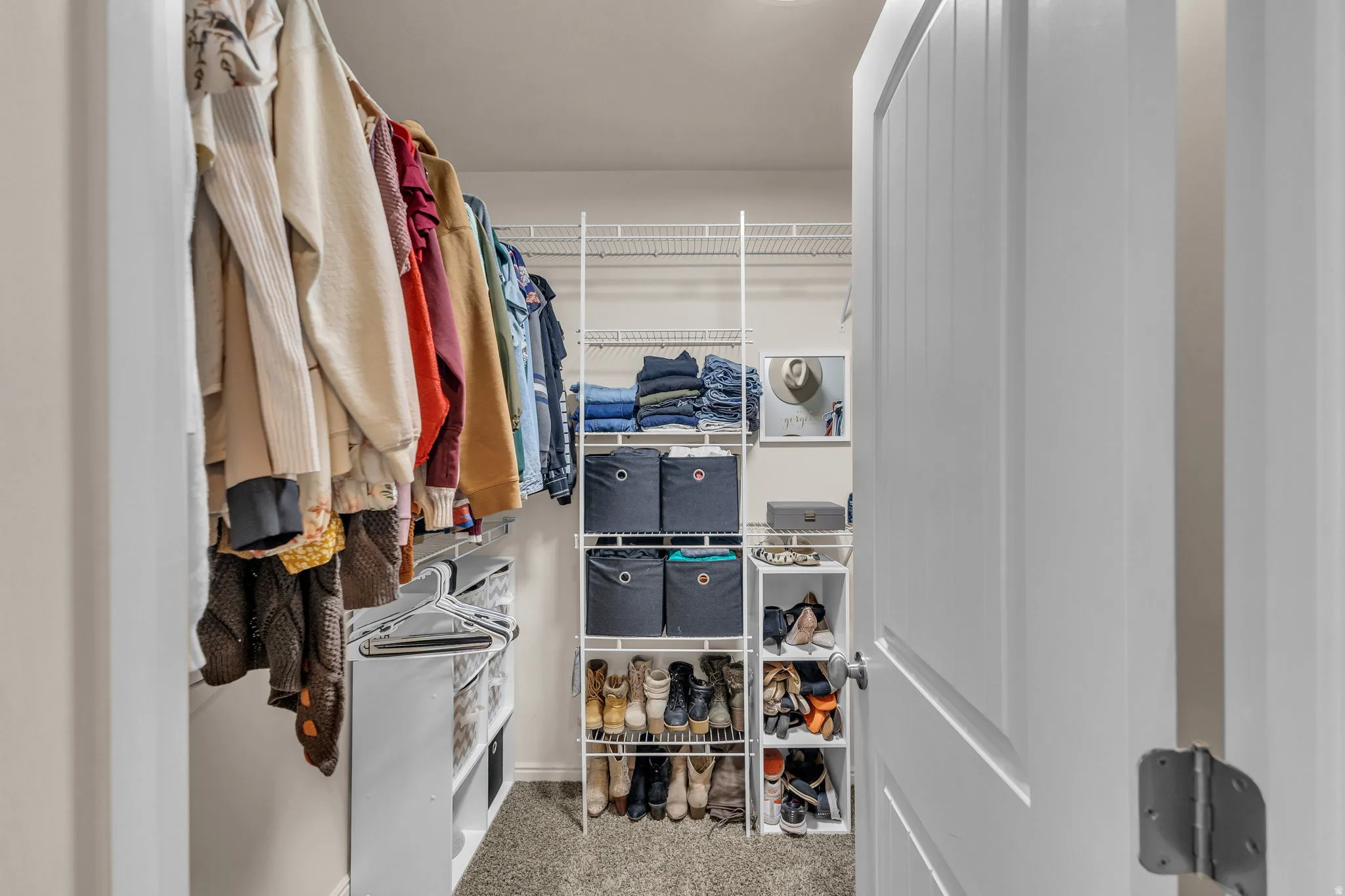 Walk in closet featuring light colored carpet