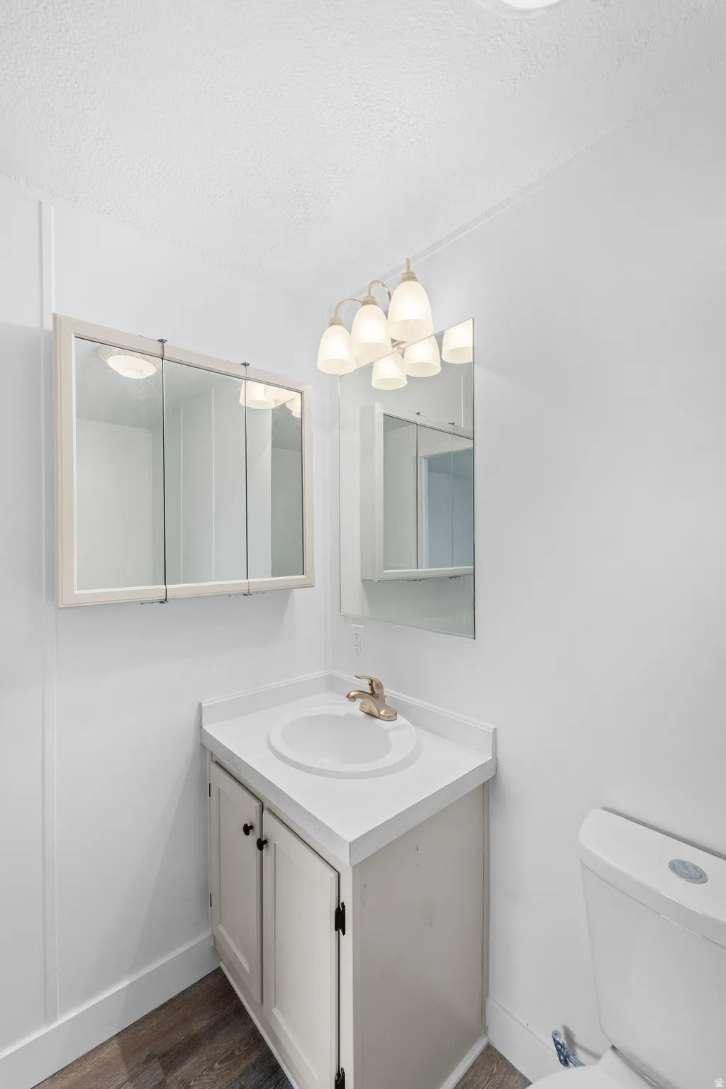 Half bathroom featuring vanity, a textured ceiling, and dark wood-style flooring