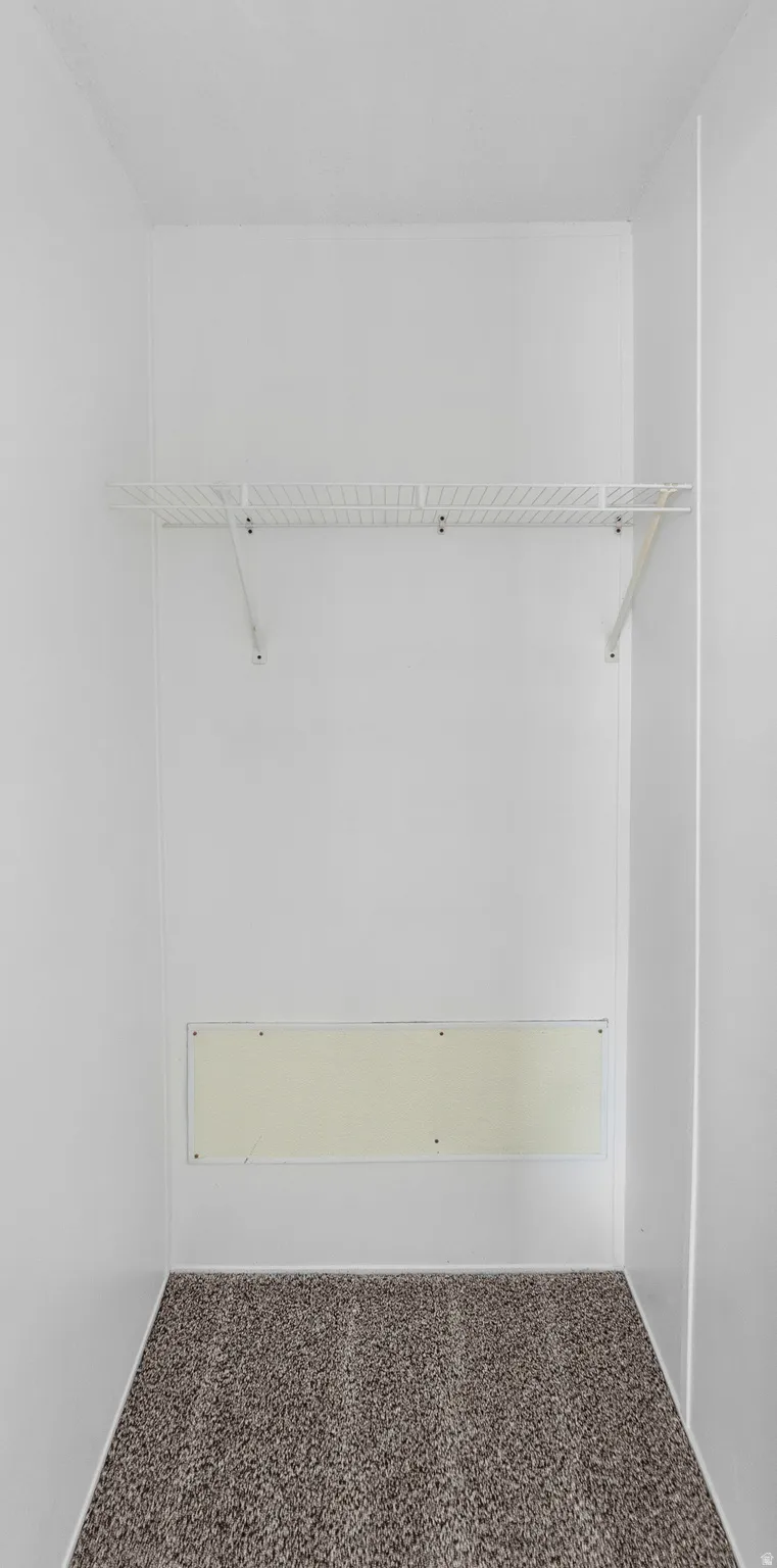 Walk in closet featuring carpet flooring