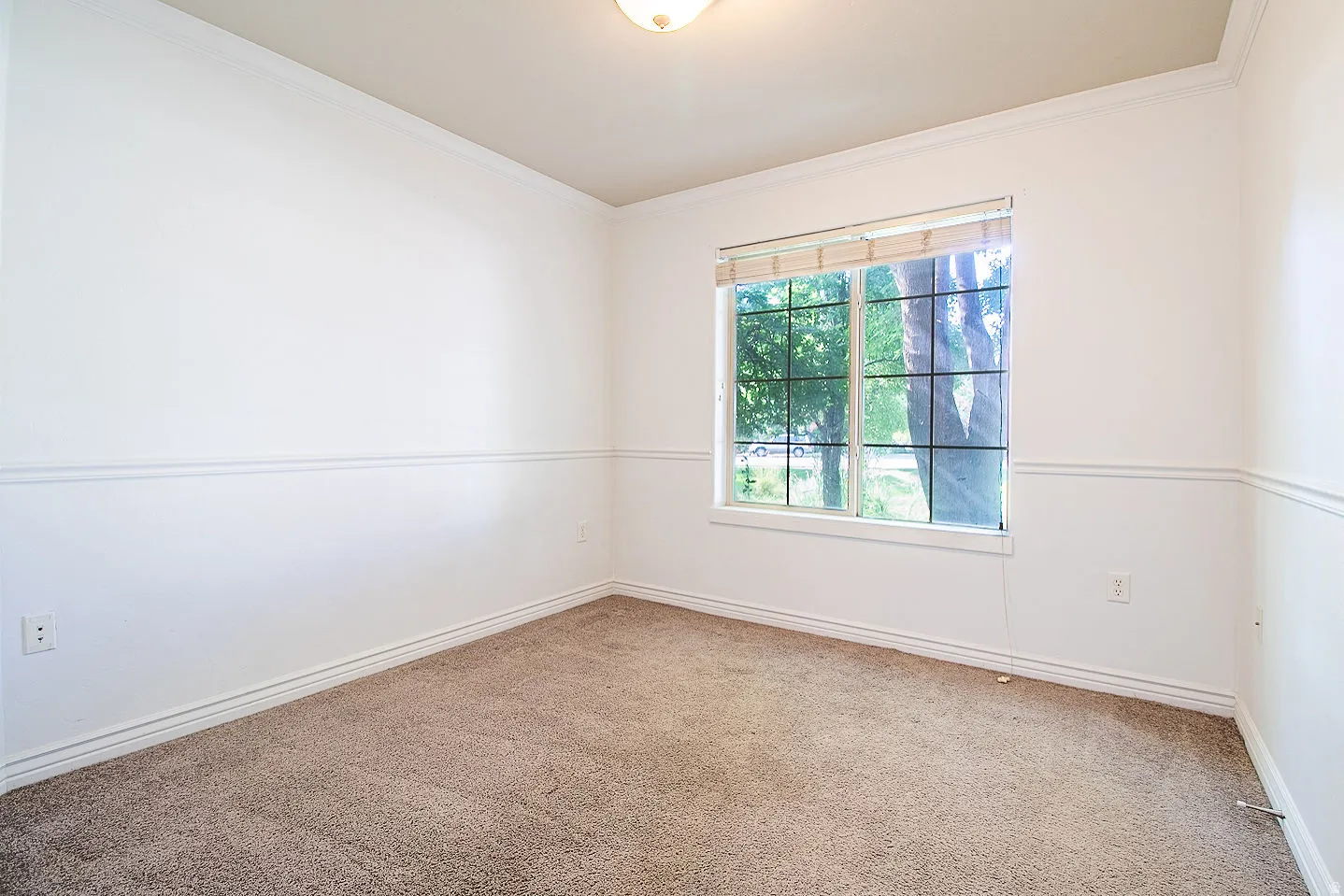 Unfurnished room featuring carpet flooring and crown molding
