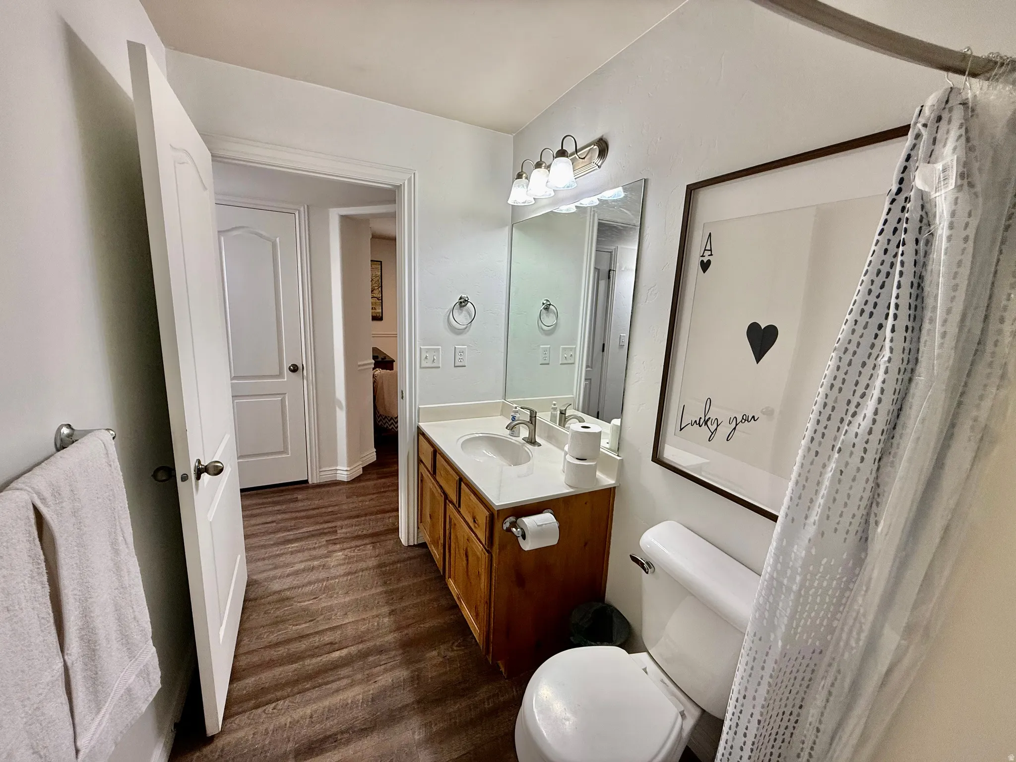 Bathroom featuring vanity, curtained shower, and dark wood finished floors