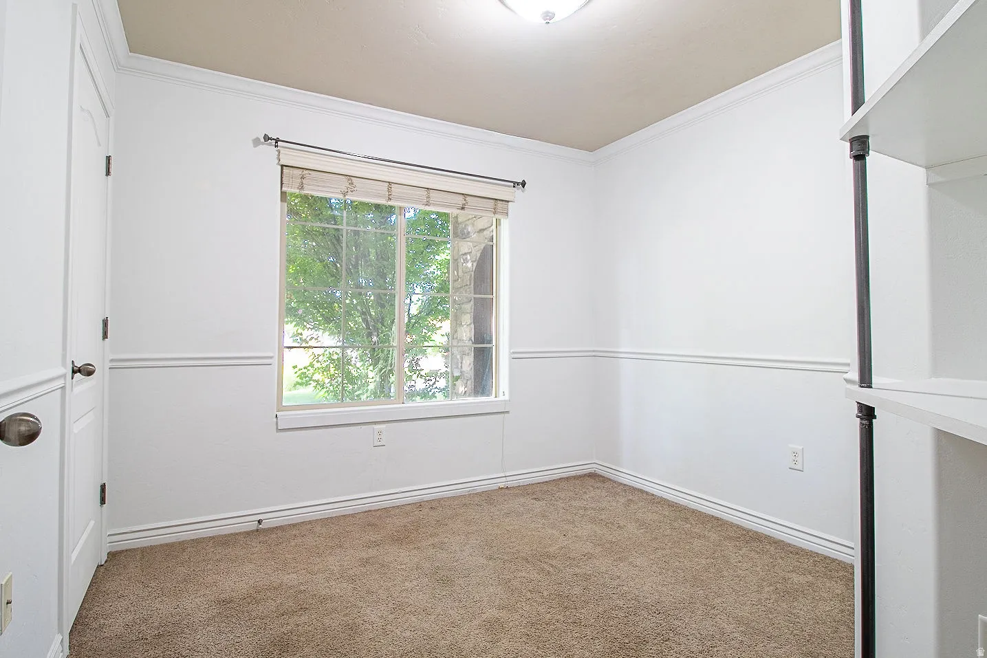 Unfurnished room featuring carpet flooring and crown molding