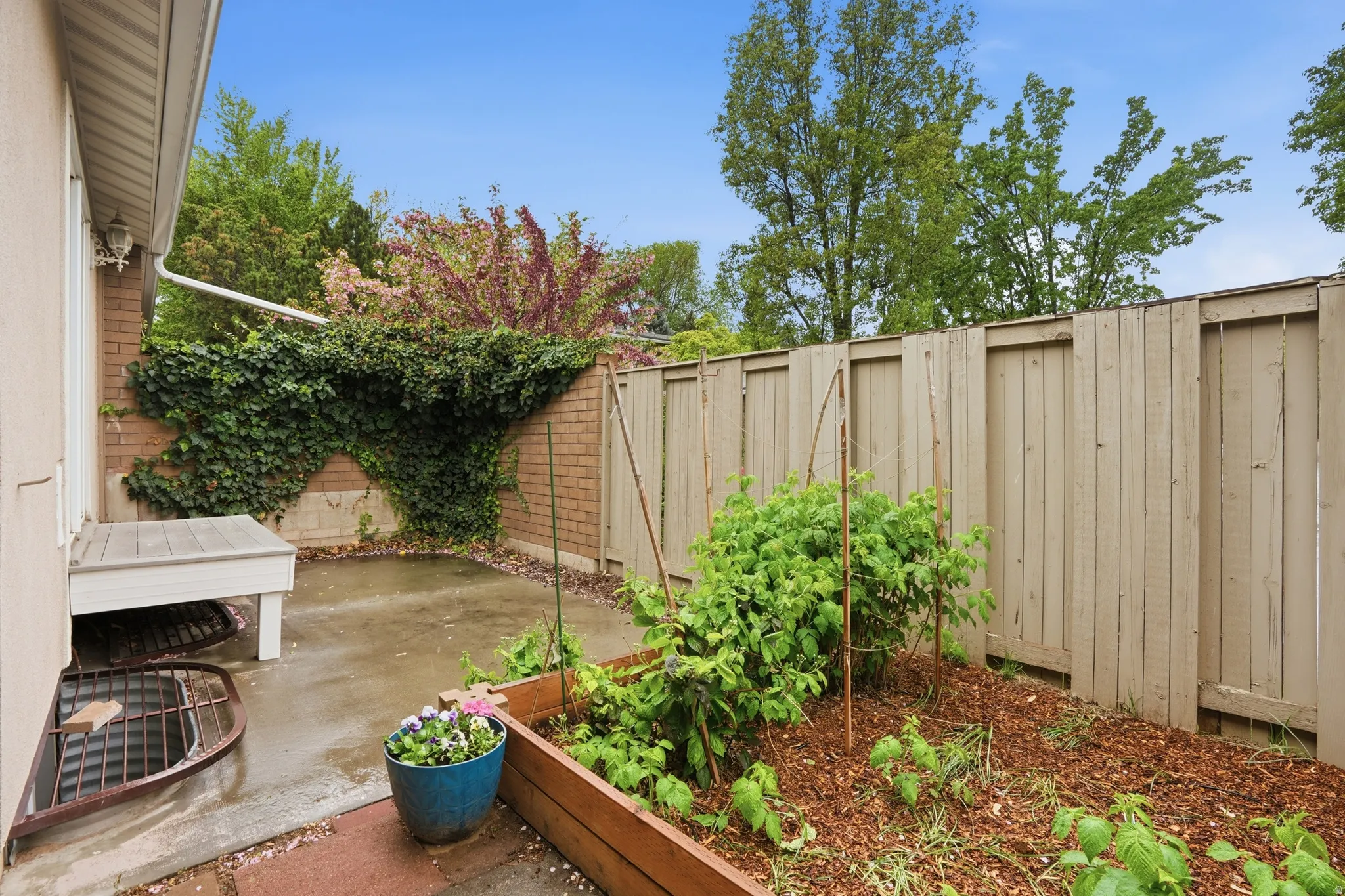 Fenced backyard featuring a patio and a vegetable garden
