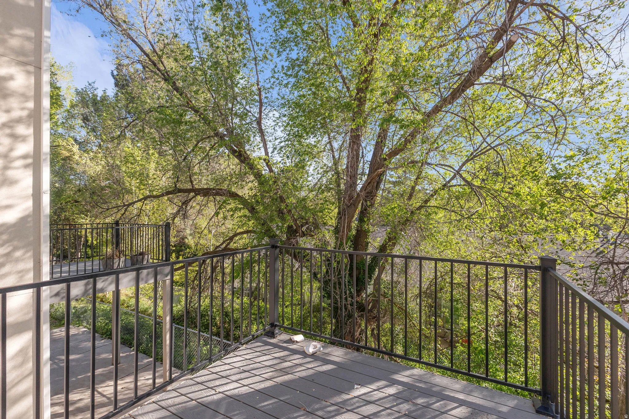 View of deck