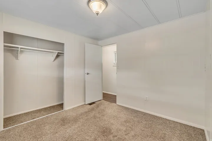 Unfurnished bedroom featuring carpet floors, a closet, and a decorative wall