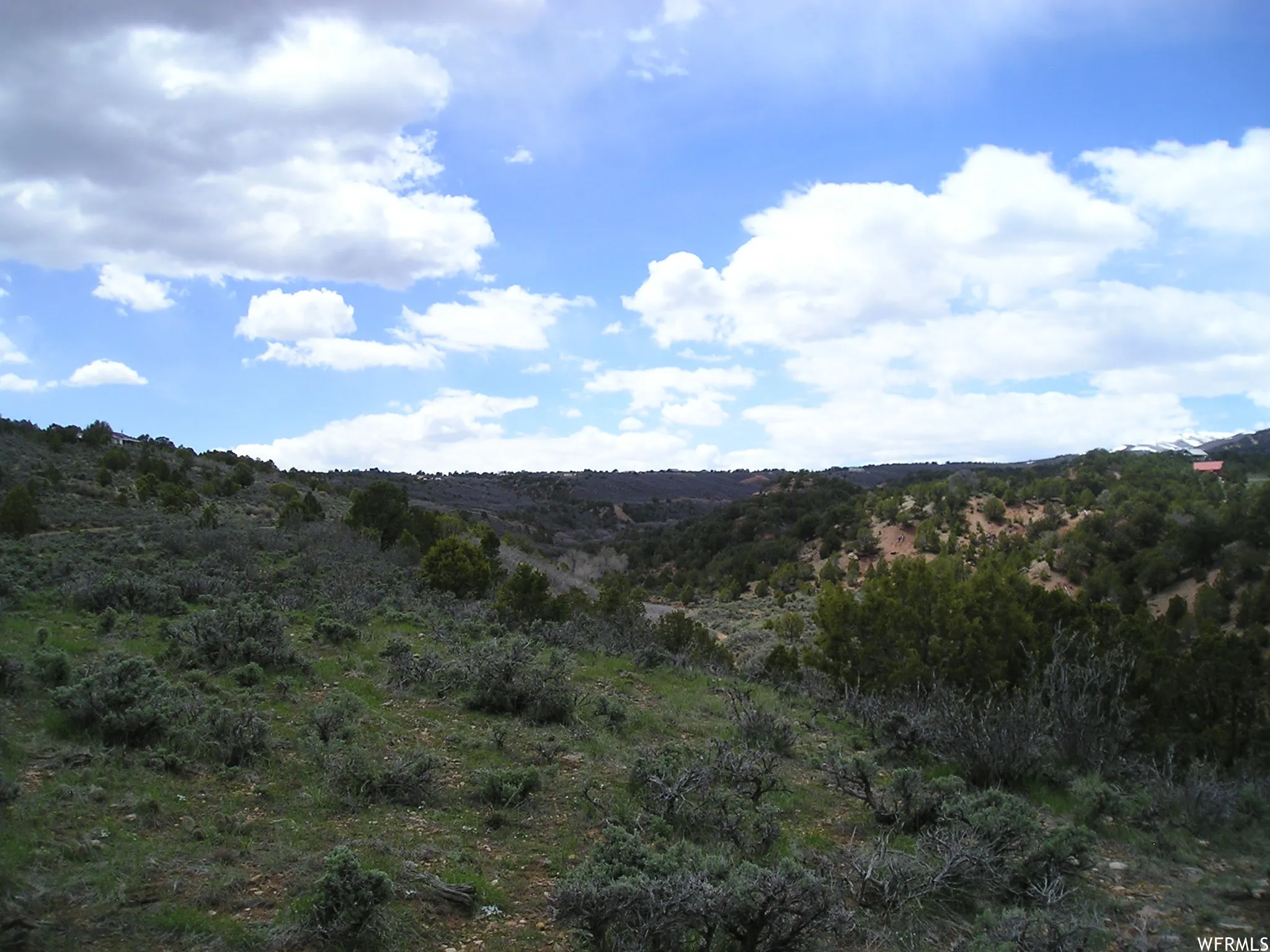 View of wooded area
