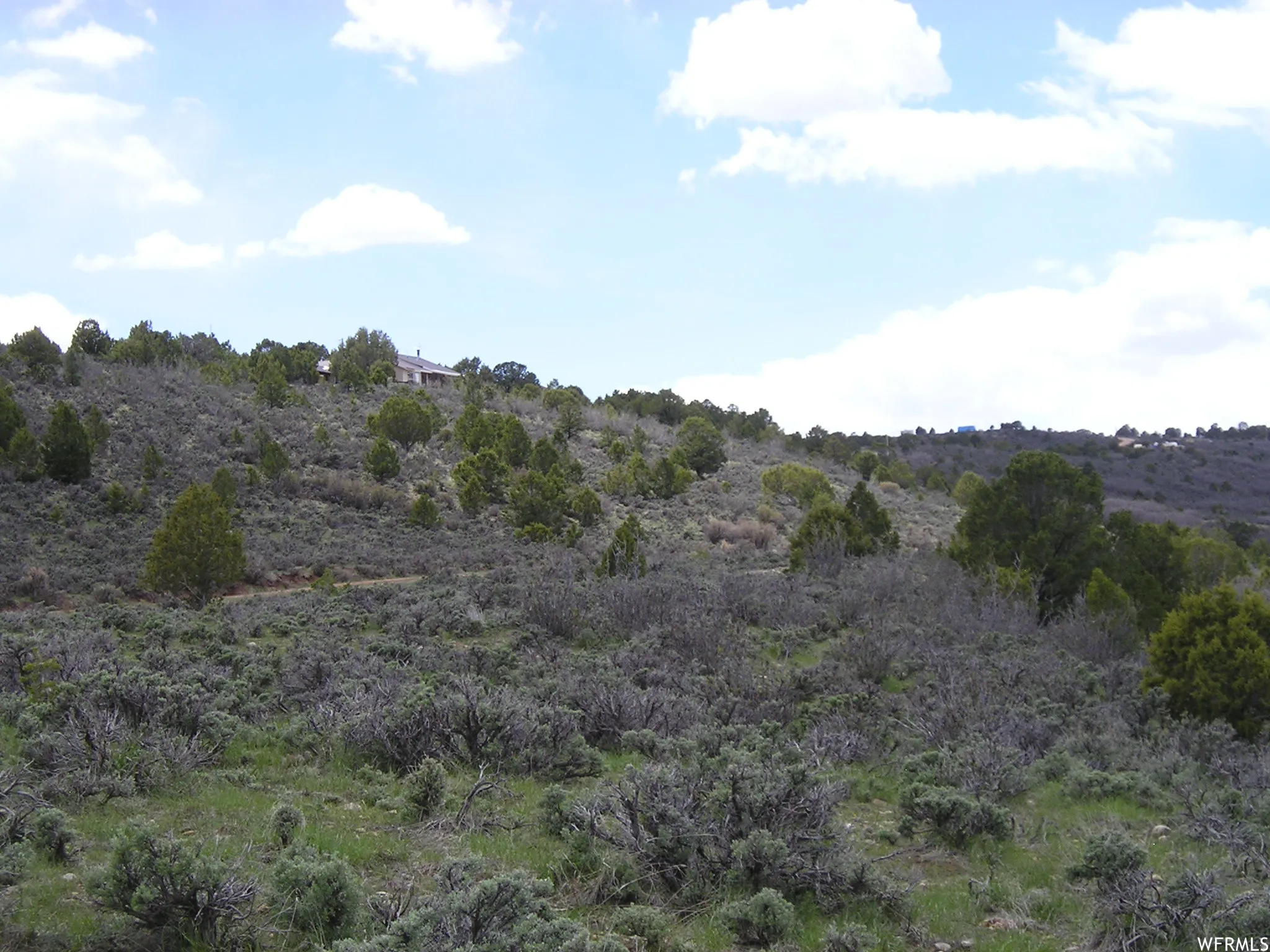 View of nature