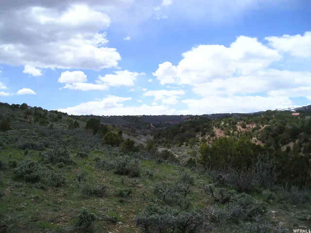 View of wooded area