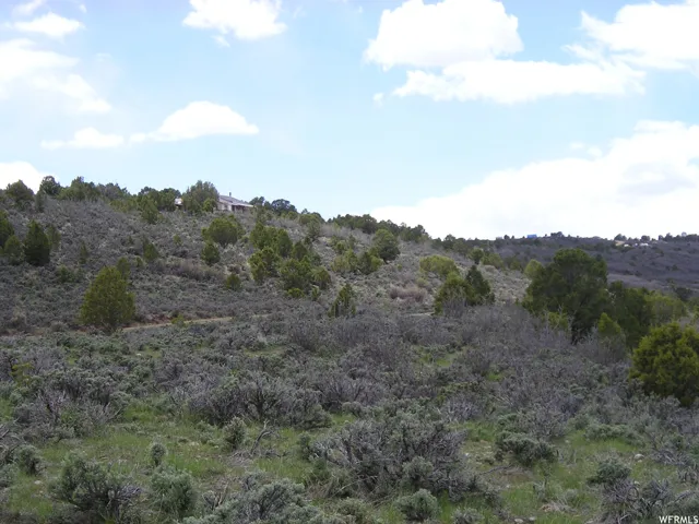 View of nature