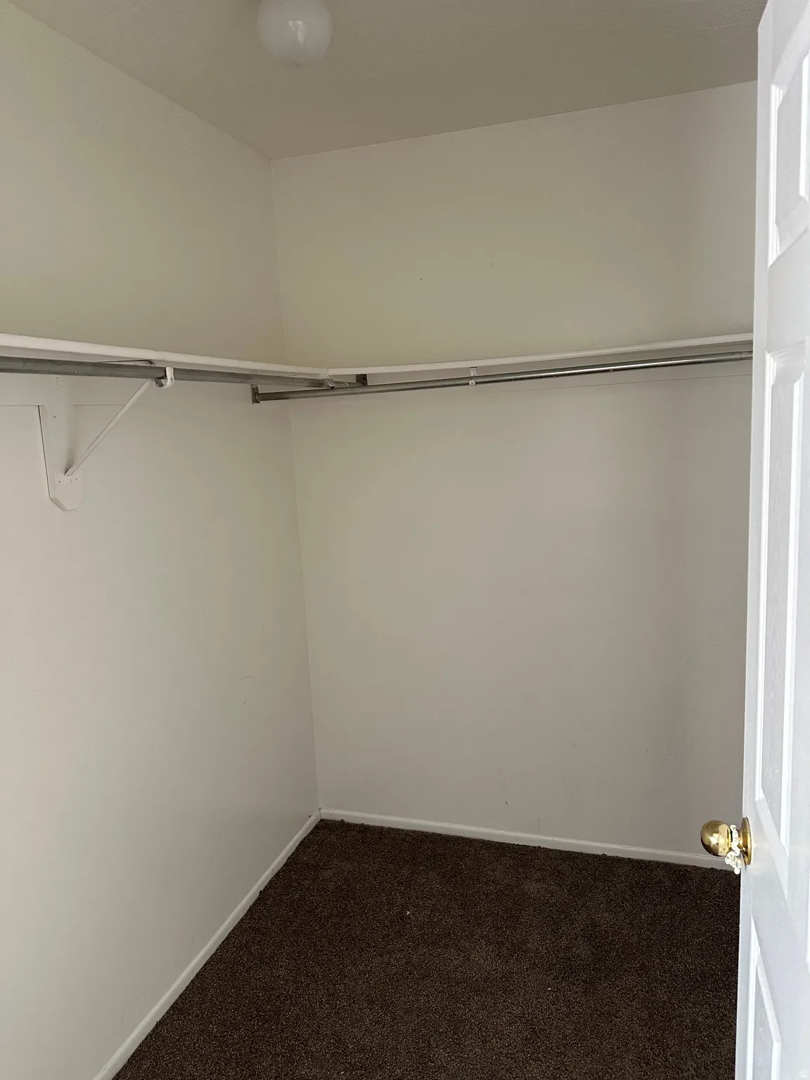 Walk in closet featuring dark colored carpet