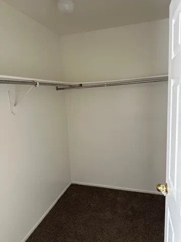Walk in closet featuring dark colored carpet