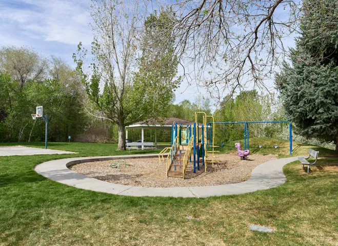 Community jungle gym with a lawn