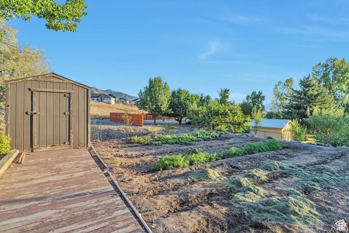 View of yard featuring a shed