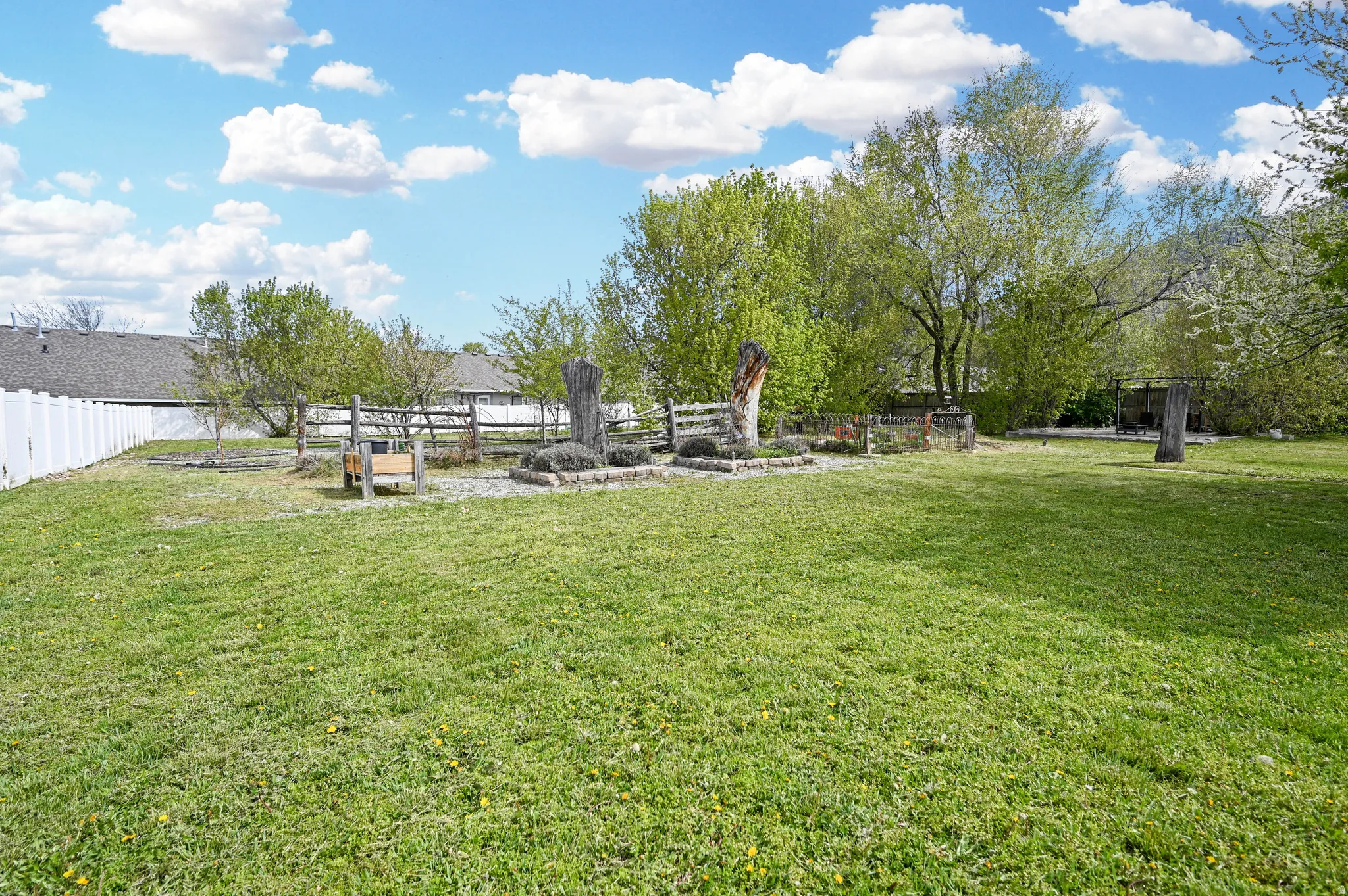 Producing orchard with drip system: plumb, cherry, apple, service berry