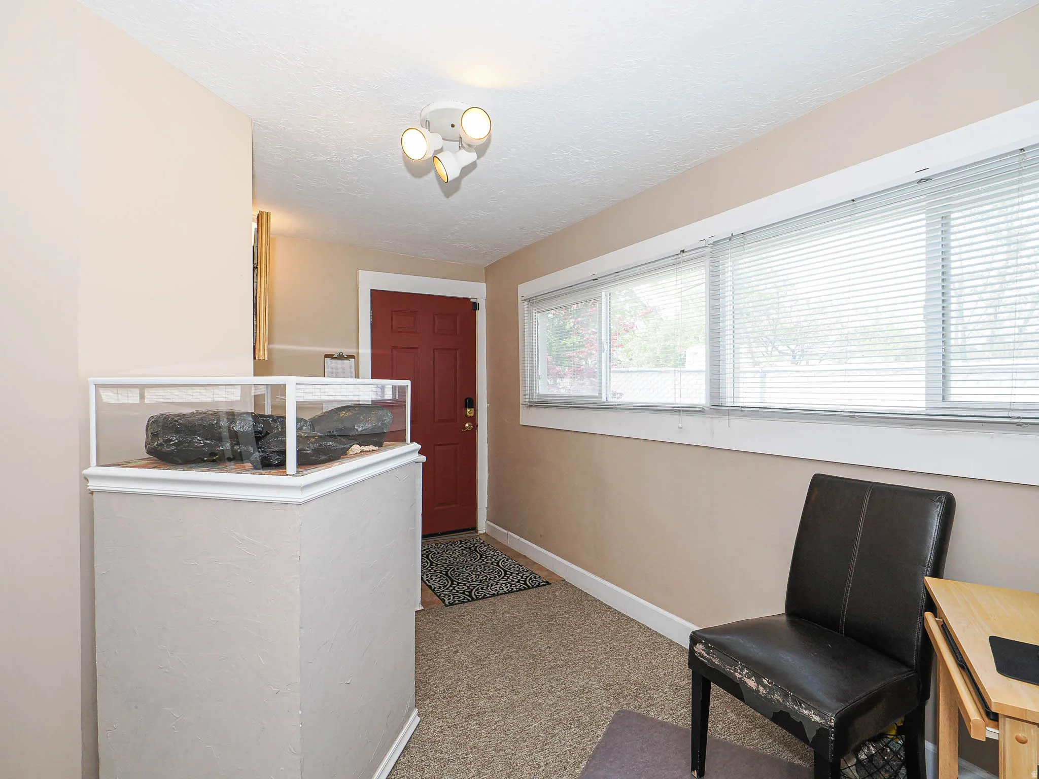 Laundry area featuring a textured ceiling and light carpet