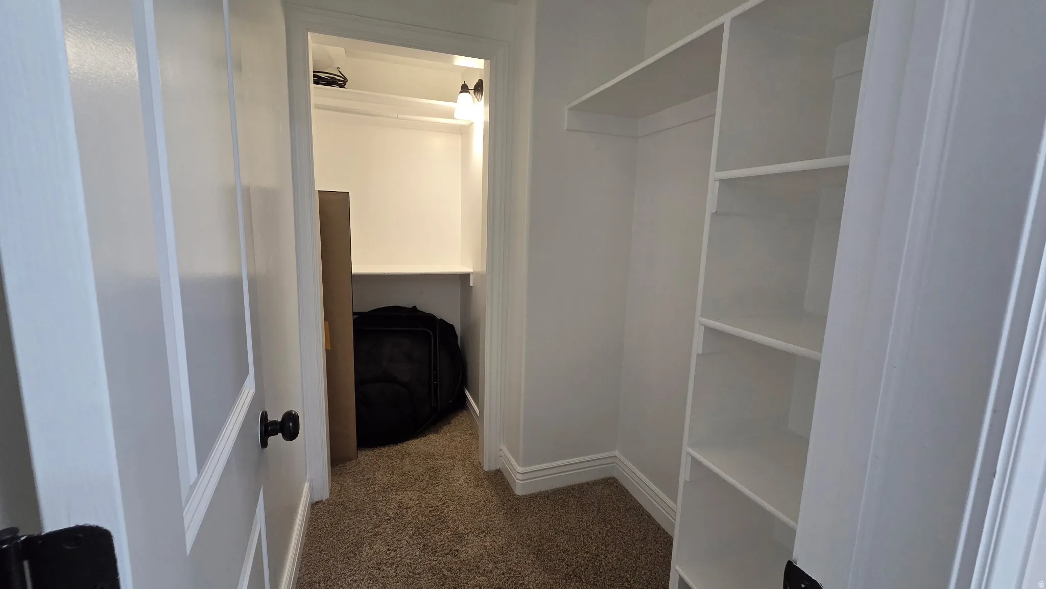 Large walk-in closet with light colored carpet