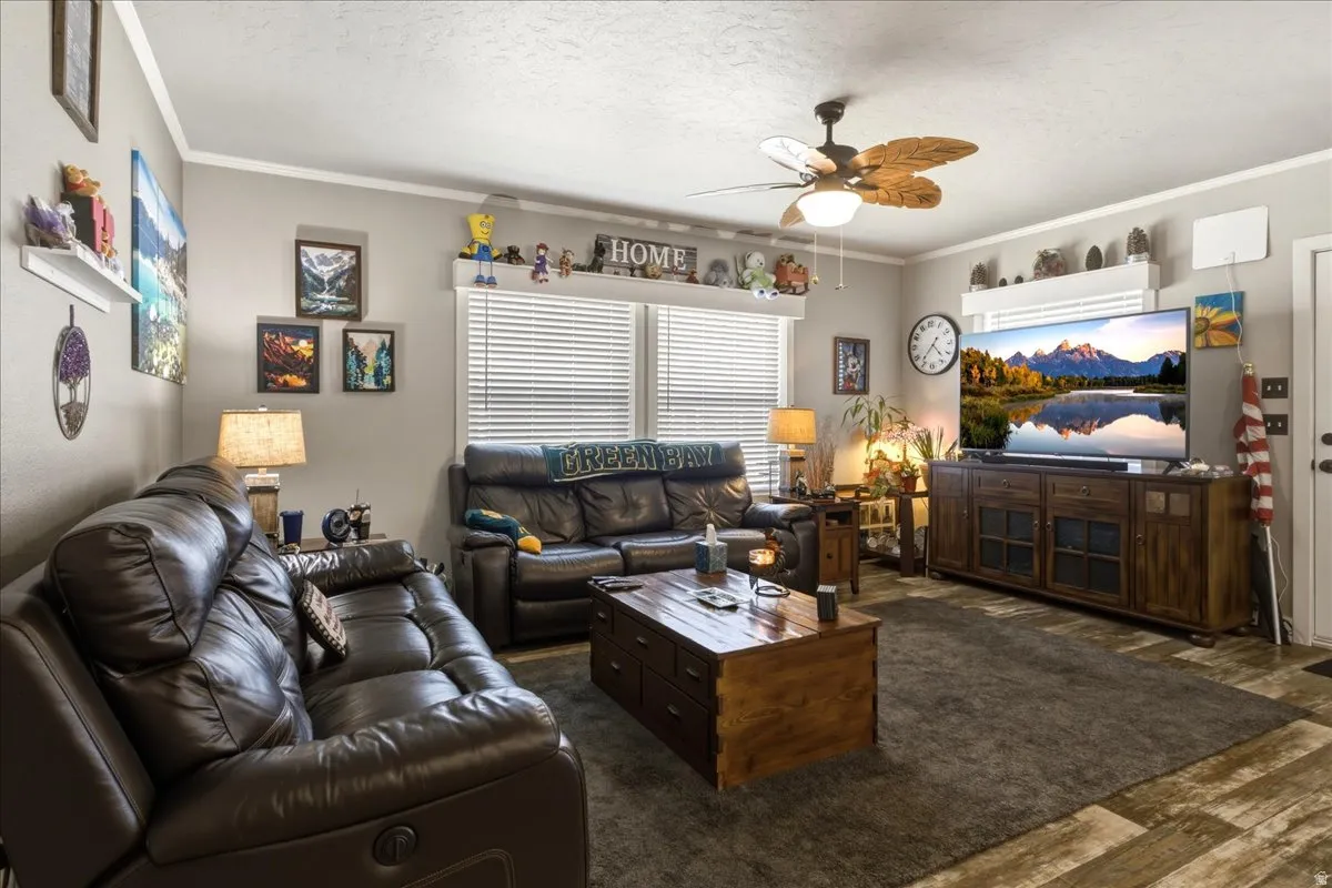 Living room with ceiling fan, a textured ceiling, crown molding, and dark wood finished floors