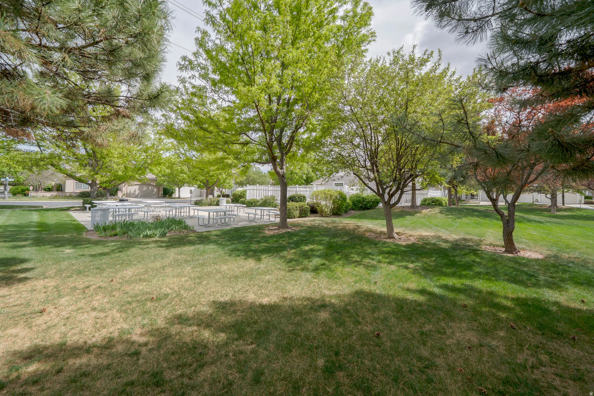 View of green lawn featuring a patio area