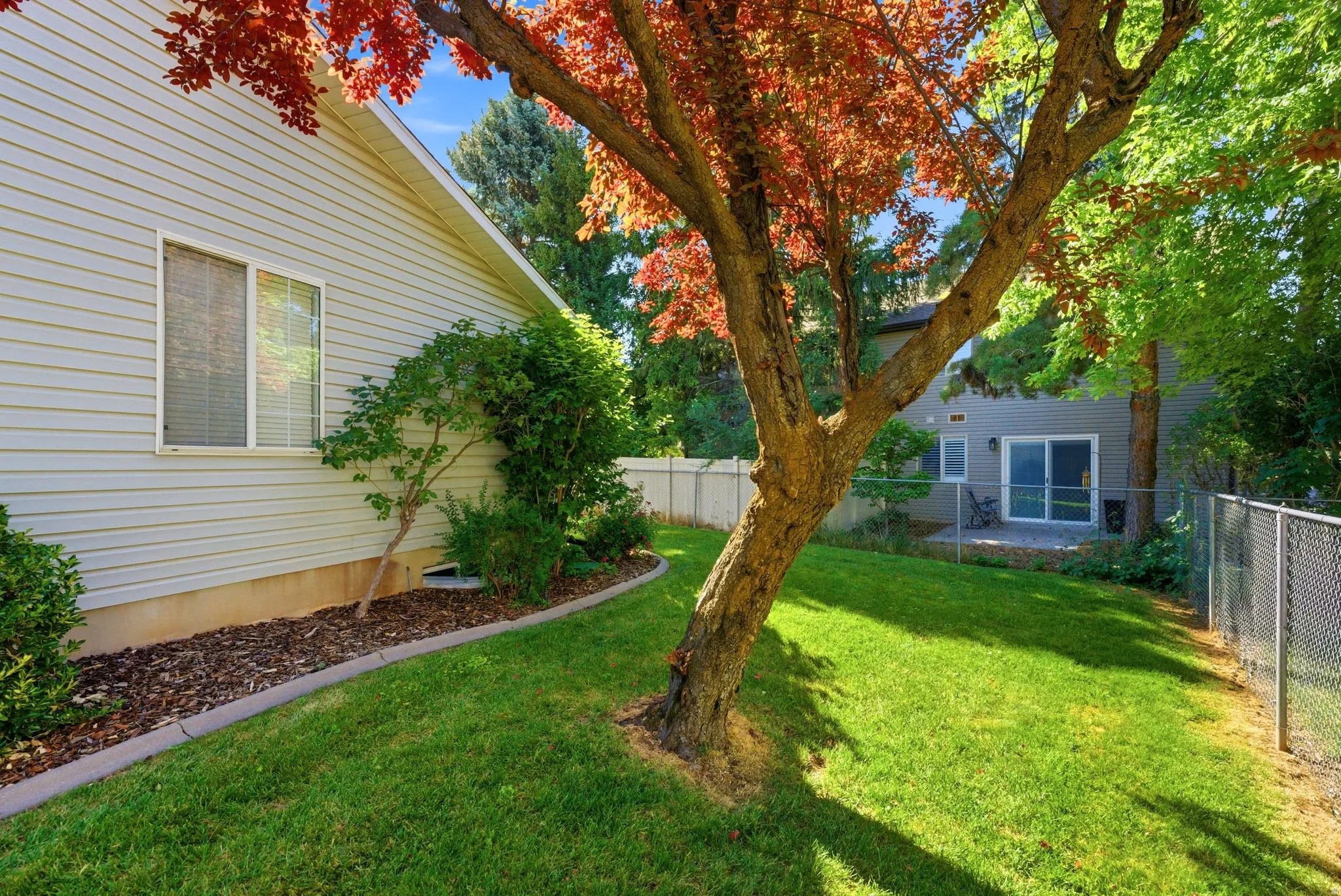 Expansive backyard featuring a manicured lawn, mature trees, and a concrete patio