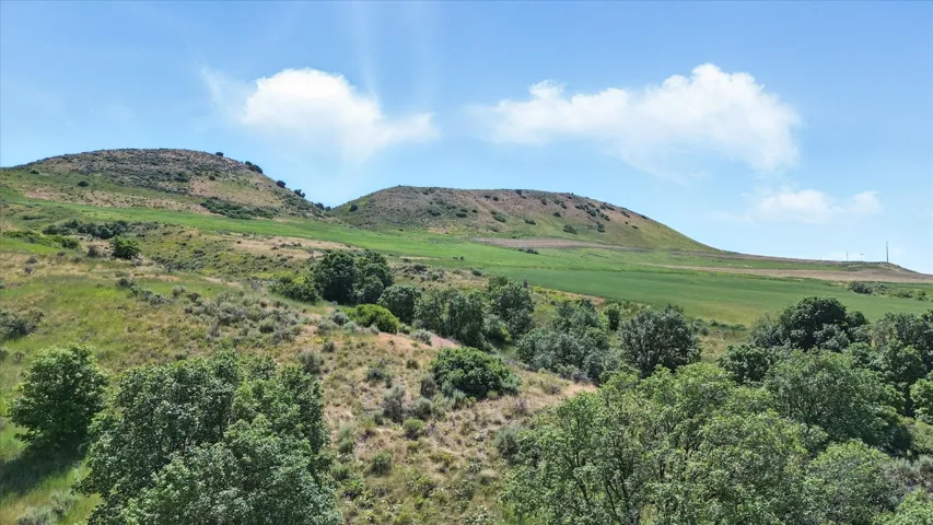 16408 N Beaver Dam Rd, Beaverdam, Utah 84306